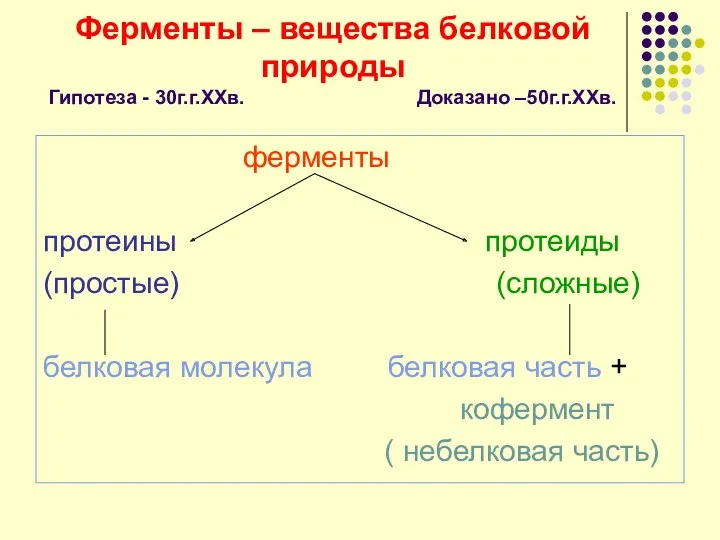 Ферменты – вещества белковой природы Гипотеза - 30г.г.ХХв. Доказано –50г.г.ХХв.