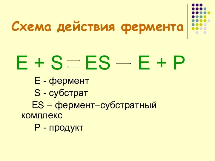 Схема действия фермента Е + S ES E + P