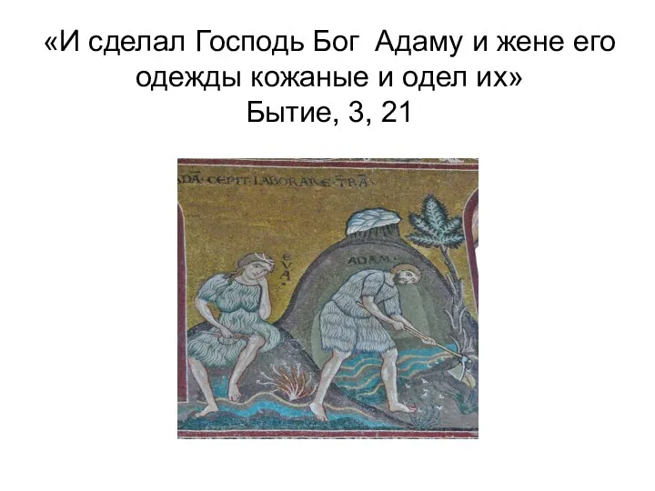 «И сделал Господь Бог Адаму и жене его одежды кожаные и одел их» Бытие, 3, 21