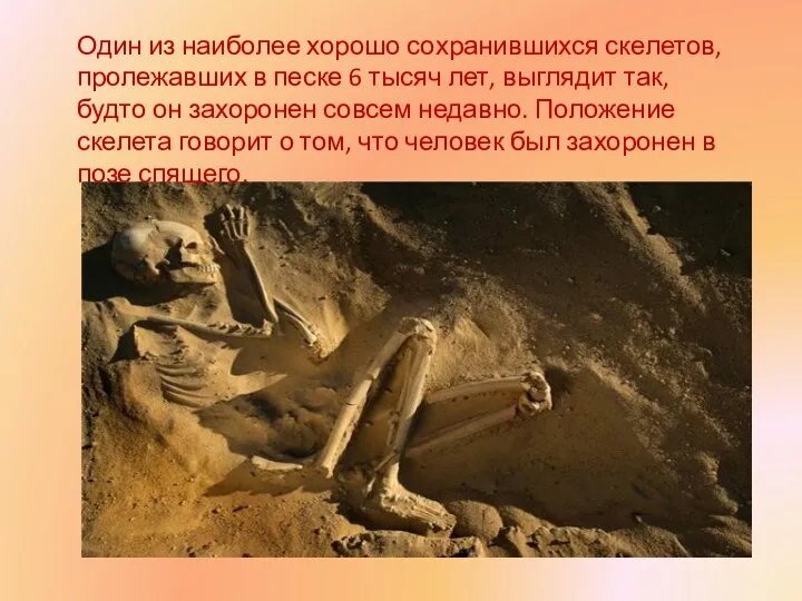 Один из наиболее хорошо сохранившихся скелетов, пролежавших в песке 6