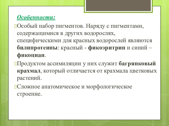 Особенности: Особый набор пигментов. Наряду с пигментами, содержащимися в других