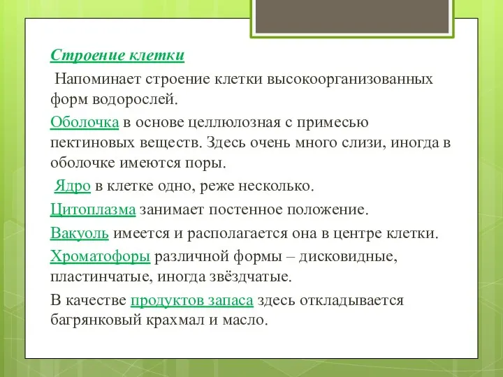 Строение клетки Напоминает строение клетки высокоорганизованных форм водорослей. Оболочка в