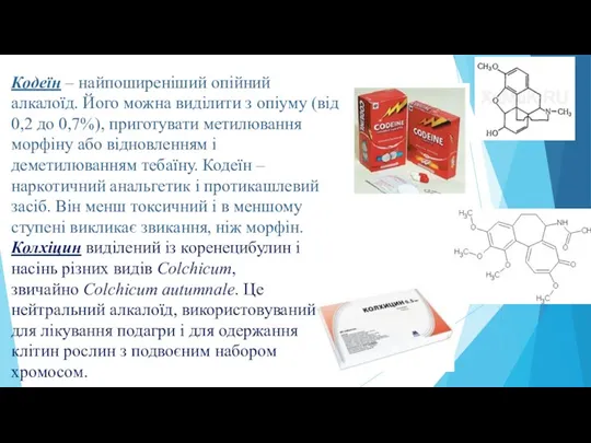 Кодеїн – найпоширеніший опійний алкалоїд. Його можна виділити з опіуму