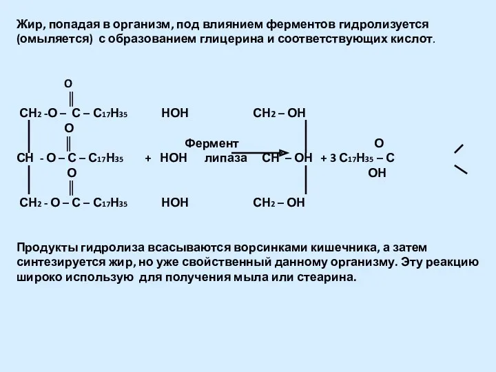 Жир, попадая в организм, под влиянием ферментов гидролизуется (омыляется) с