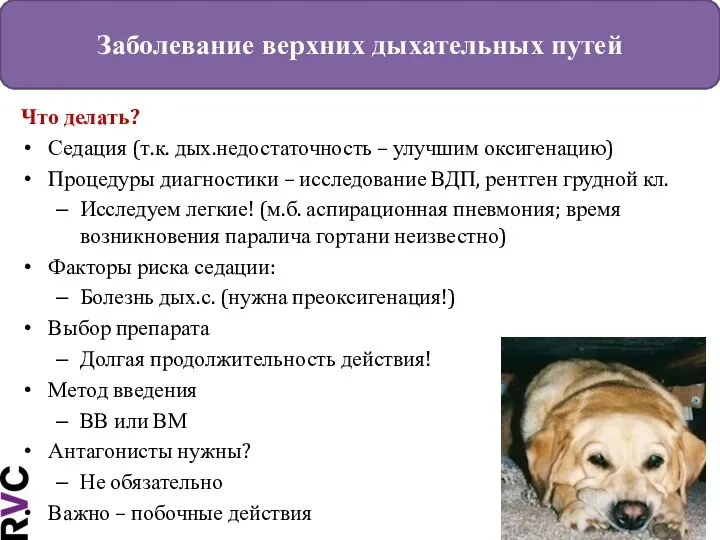 Заболевание верхних дыхательных путей Что делать? Седация (т.к. дых.недостаточность –