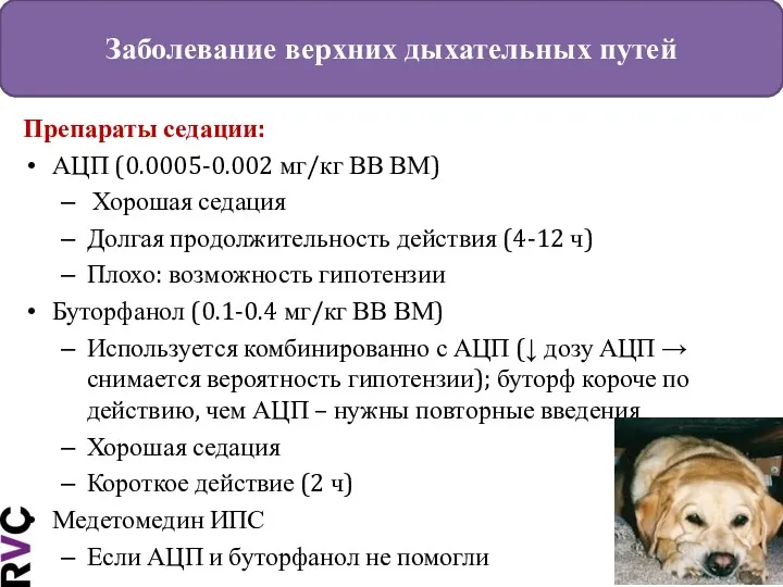 Заболевание верхних дыхательных путей Препараты седации: АЦП (0.0005-0.002 мг/кг ВВ ВМ) Хорошая седация