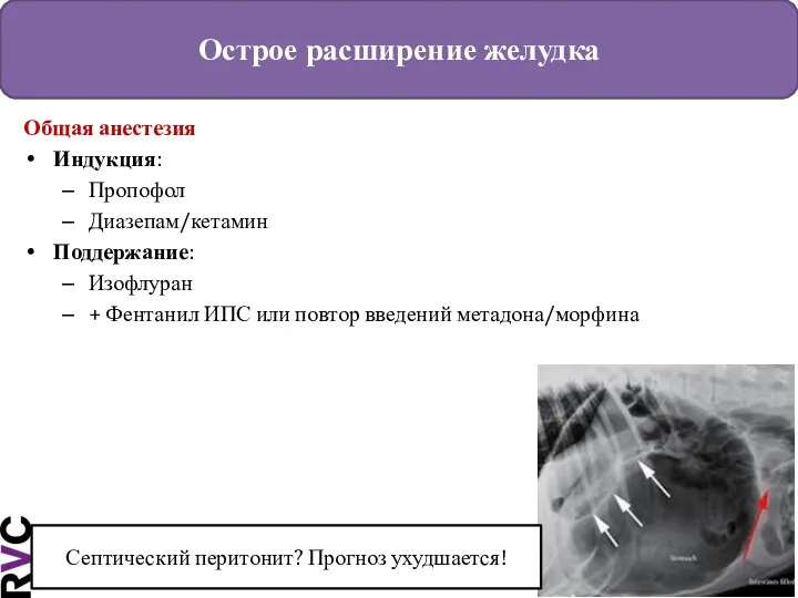 Острое расширение желудка Общая анестезия Индукция: Пропофол Диазепам/кетамин Поддержание: Изофлуран