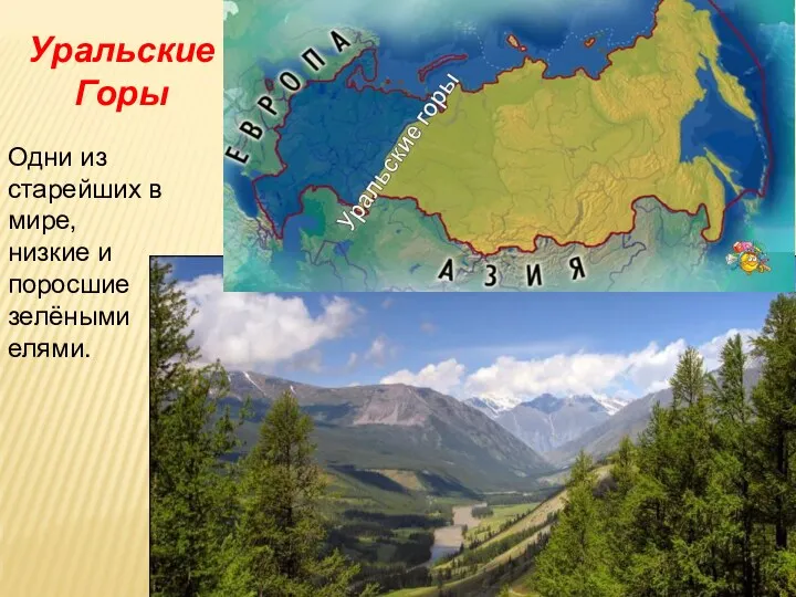 Уральские Горы Одни из старейших в мире, низкие и поросшие зелёными елями.