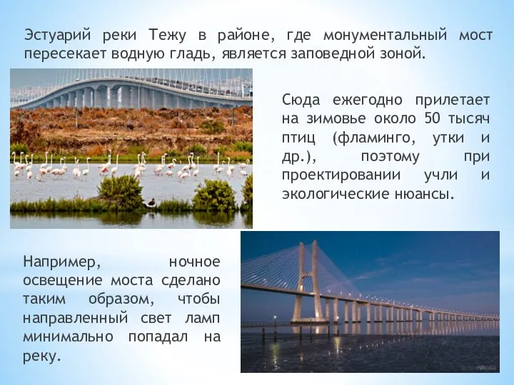 Эстуарий реки Тежу в районе, где монументальный мост пересекает водную гладь, является заповедной