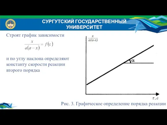 СУРГУТСКИЙ ГОСУДАРСТВЕННЫЙ УНИВЕРСИТЕТ Строят график зависимости и по углу наклона