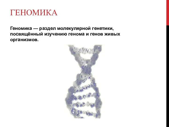 ГЕНОМИКА Геномика — раздел молекулярной генетики, посвящённый изучению генома и генов живых организмов.