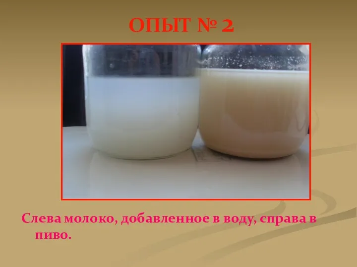 ОПЫТ № 2 Слева молоко, добавленное в воду, справа в пиво.