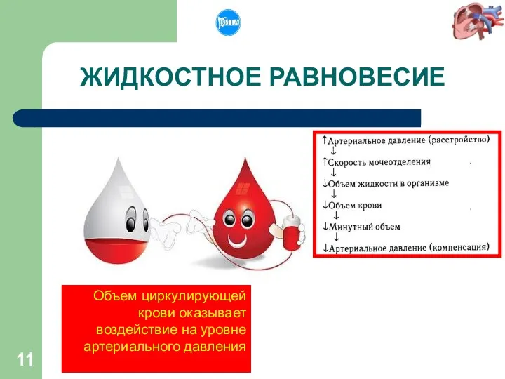 Объем циркулирующей крови оказывает воздействие на уровне артериального давления ЖИДКОСТНОЕ РАВНОВЕСИЕ