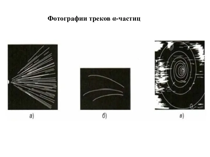 Фотографии треков α-частиц