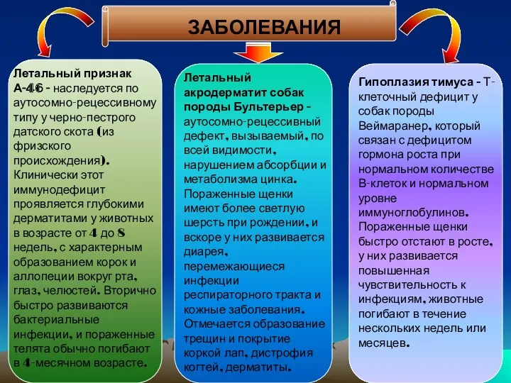 Летальный признак А-46 - наследуется по аутосомно-рецессивному типу у черно-пестрого датского скота (из