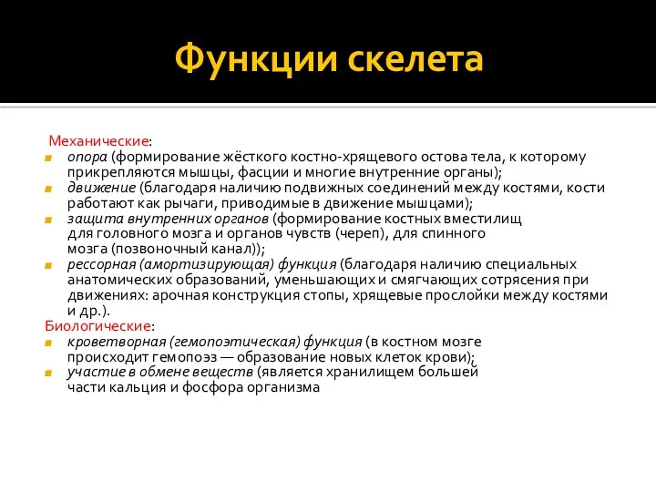 Функции скелета Механические: опора (формирование жёсткого костно-хрящевого остова тела, к