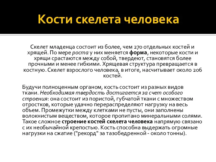 Кости скелета человека Скелет младенца состоит из более, чем 270