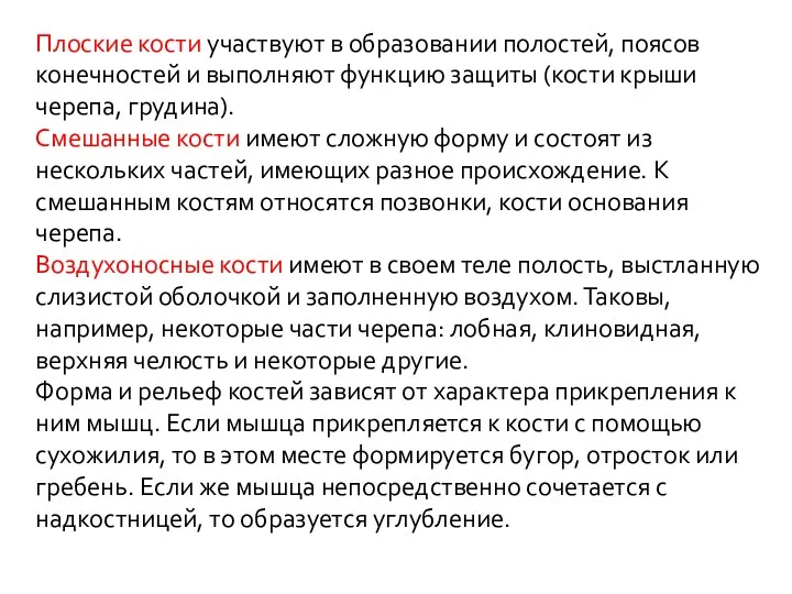 Плоские кости участвуют в образовании полостей, поясов конечностей и выполняют