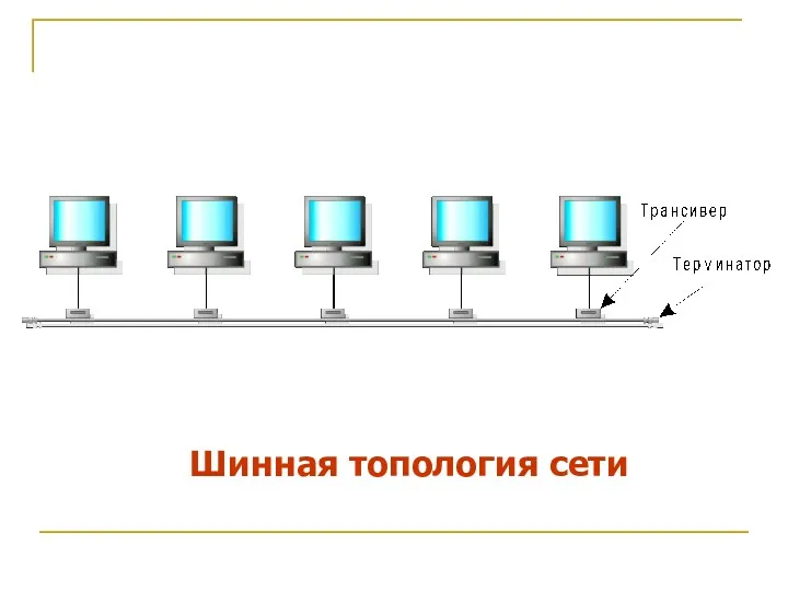 Шинная топология сети