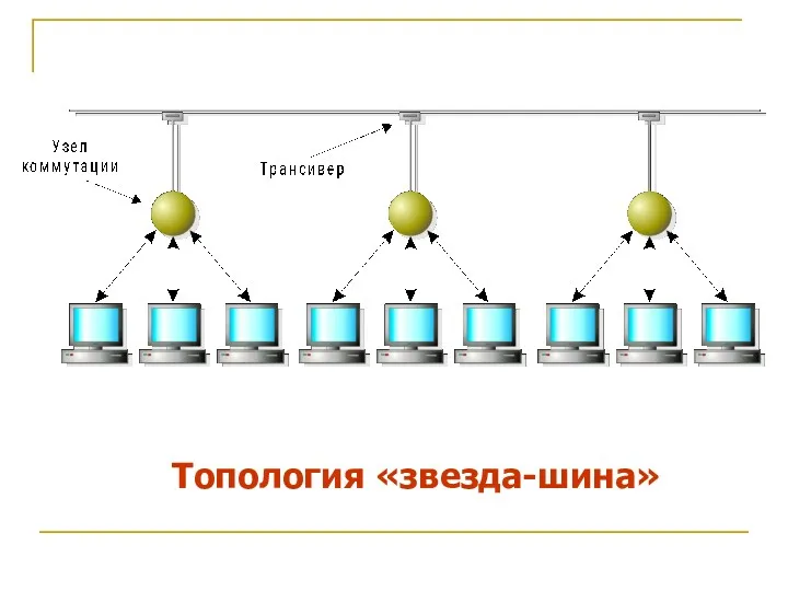 Топология «звезда-шина»