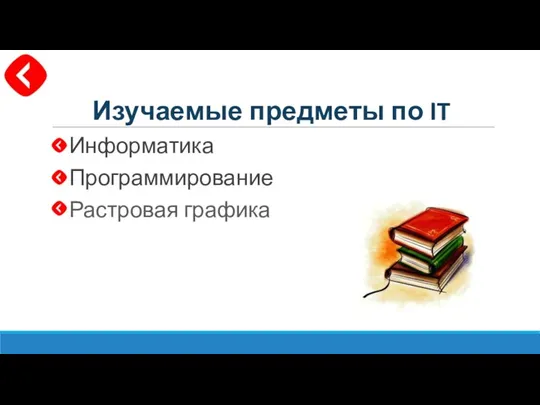 Изучаемые предметы по IT Информатика Программирование Растровая графика