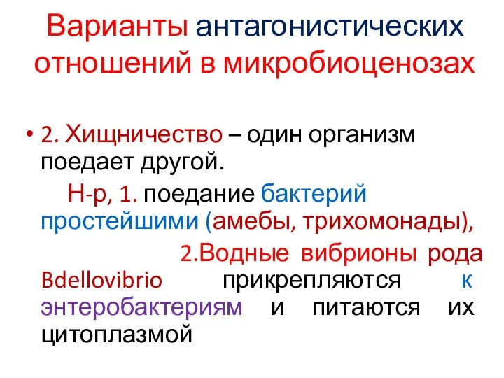 Варианты антагонистических отношений в микробиоценозах 2. Хищничество – один организм