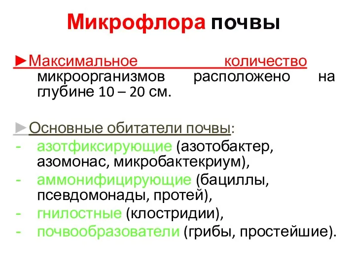 Микрофлора почвы ►Максимальное количество микроорганизмов расположено на глубине 10 – 20 см. ►Основные