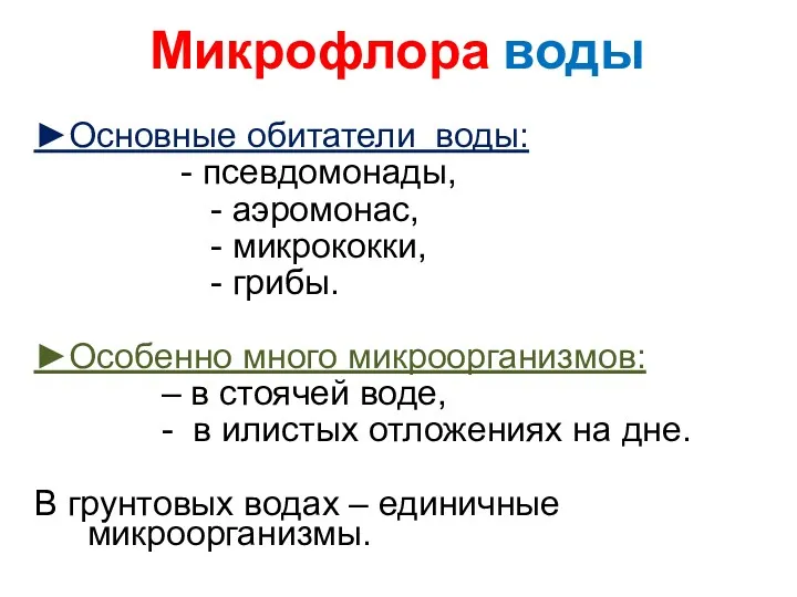 Микрофлора воды ►Основные обитатели воды: - псевдомонады, - аэромонас, - микрококки, - грибы.