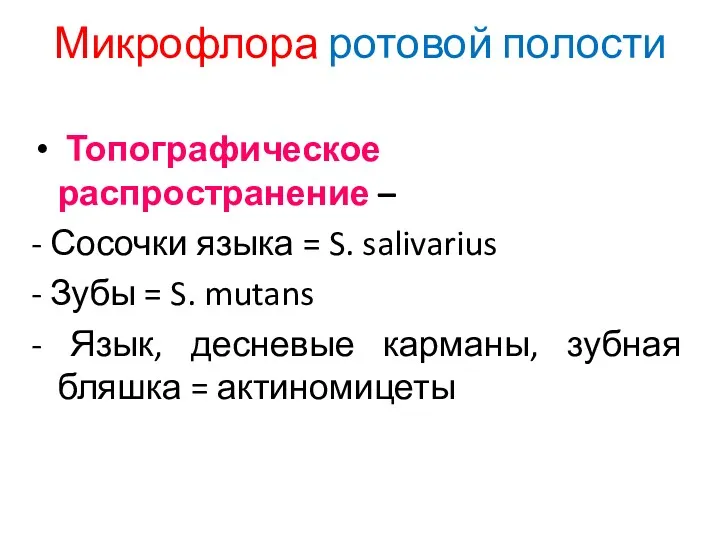 Микрофлора ротовой полости Топографическое распространение – - Сосочки языка = S. salivarius -