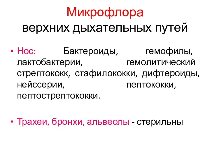 Микрофлора верхних дыхательных путей Нос: Бактероиды, гемофилы, лактобактерии, гемолитический стрептококк, стафилококки, дифтероиды, нейссерии,