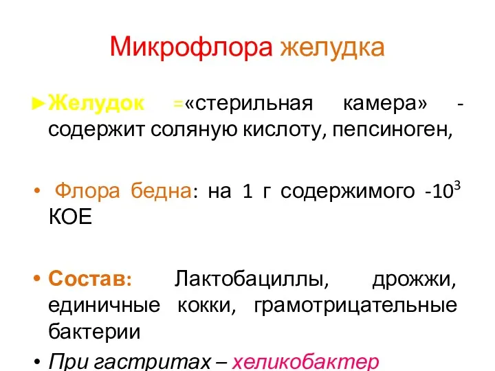 Микрофлора желудка ►Желудок =«стерильная камера» - содержит соляную кислоту, пепсиноген, Флора бедна: на