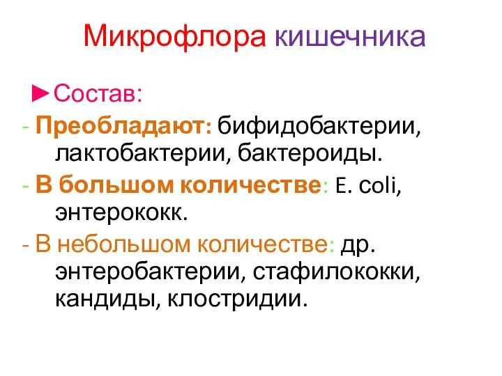 Микрофлора кишечника ►Состав: - Преобладают: бифидобактерии, лактобактерии, бактероиды. - В