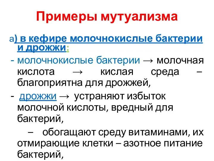 Примеры мутуализма а) в кефире молочнокислые бактерии и дрожжи: молочнокислые бактерии → молочная