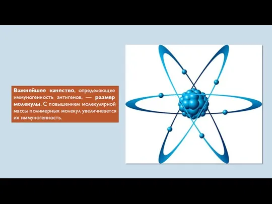 Важнейшее качество, определяющее иммуногенность антигенов, — размер молекулы. С повышением