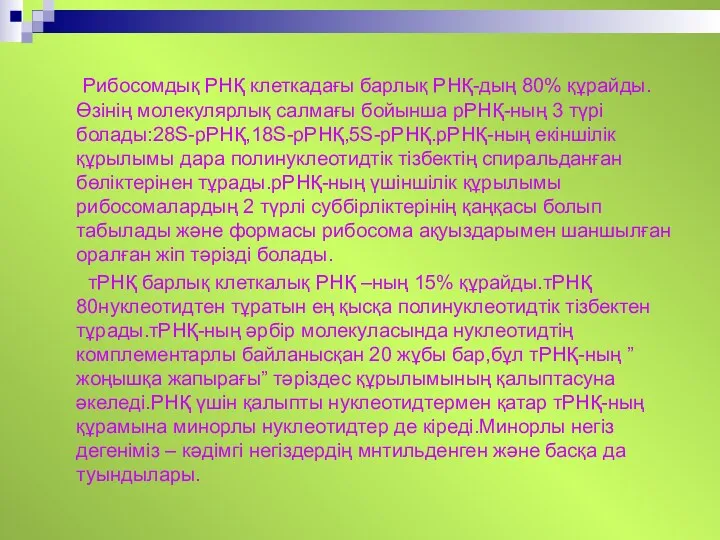 Рибосомдық РНҚ клеткадағы барлық РНҚ-дың 80% құрайды.Өзінің молекулярлық салмағы бойынша