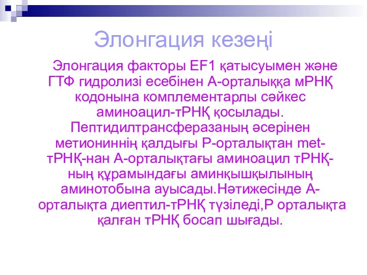 Элонгация кезеңі Элонгация факторы EF1 қатысуымен және ГТФ гидролизі есебінен