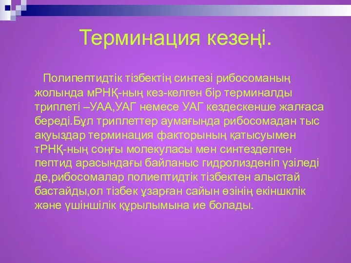 Терминация кезеңі. Полипептидтік тізбектің синтезі рибосоманың жолында мРНҚ-ның кез-келген бір