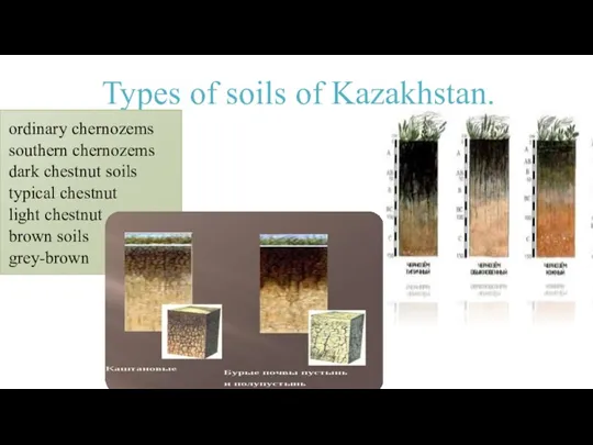 Types of soils of Kazakhstan. ordinary chernozems southern chernozems dark