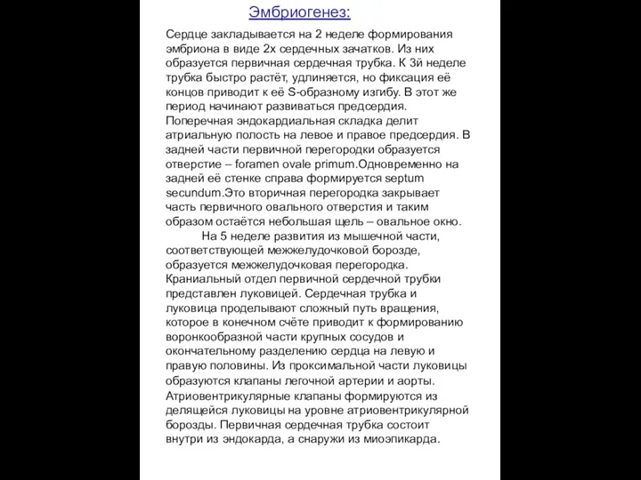 Эмбриогенез: Сердце закладывается на 2 неделе формирования эмбриона в виде