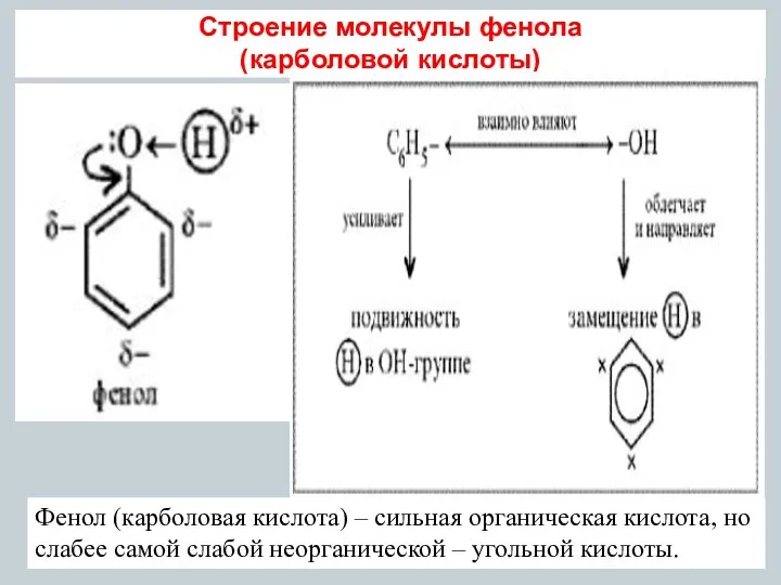 Строение молекулы фенола (карболовой кислоты) Фенол (карболовая кислота) – сильная