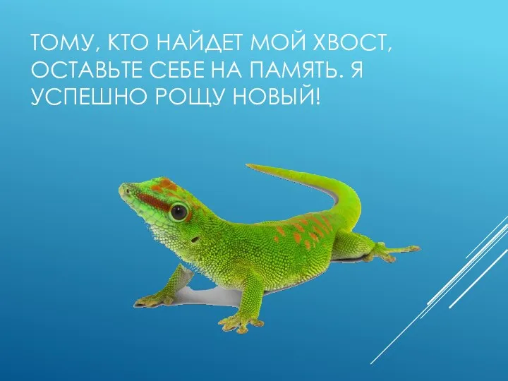 ТОМУ, КТО НАЙДЕТ МОЙ ХВОСТ, ОСТАВЬТЕ СЕБЕ НА ПАМЯТЬ. Я УСПЕШНО РОЩУ НОВЫЙ!