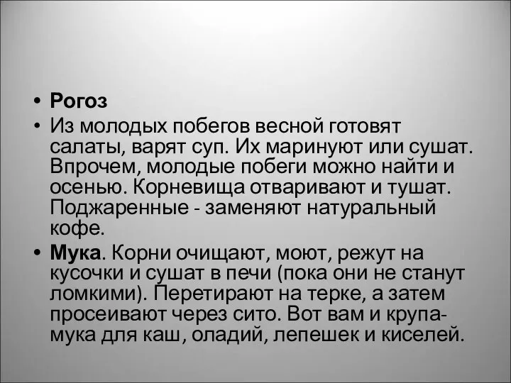 Рогоз Из молодых побегов весной готовят салаты, варят суп. Их