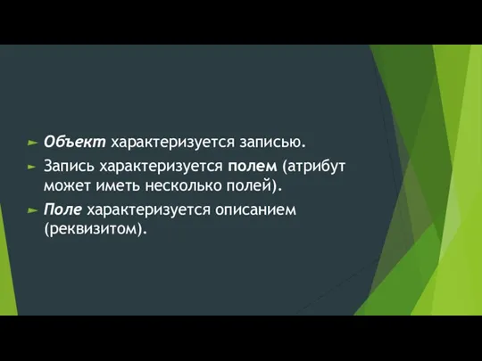 Объект характеризуется записью. Запись характеризуется полем (атрибут может иметь несколько полей). Поле характеризуется описанием (реквизитом).