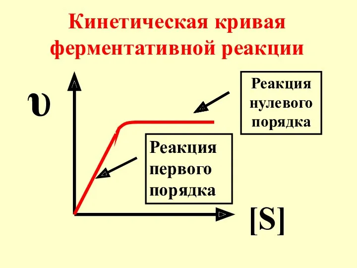 Кинетическая кривая ферментативной реакции [S] υ Реакция нулевого порядка Реакция первого порядка