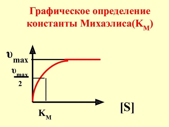 [S] υmax 2 υmax KM Графическое определение константы Михаэлиса(KM)