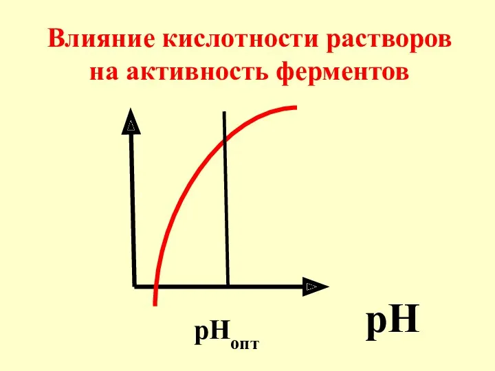 pH рНопт Влияние кислотности растворов на активность ферментов