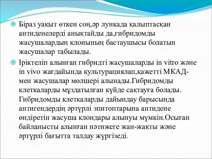 Біраз уақыт өткен соң,әр лункада қалыптасқан антиденелерді анықтайды да,гибридомды жасушалардың