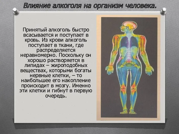 Влияние алкоголя на организм человека. Принятый алкоголь быстро всасывается и