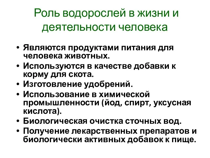 Роль водорослей в жизни и деятельности человека Являются продуктами питания