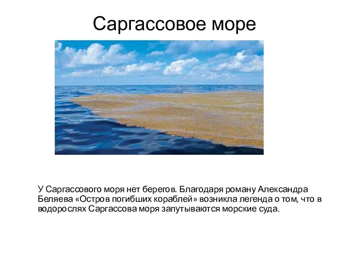 Саргассовое море У Саргассового моря нет берегов. Благодаря роману Александра